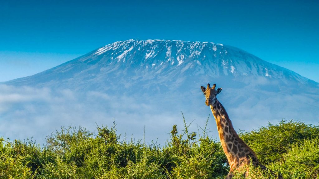 Kilimanjaro machame route
